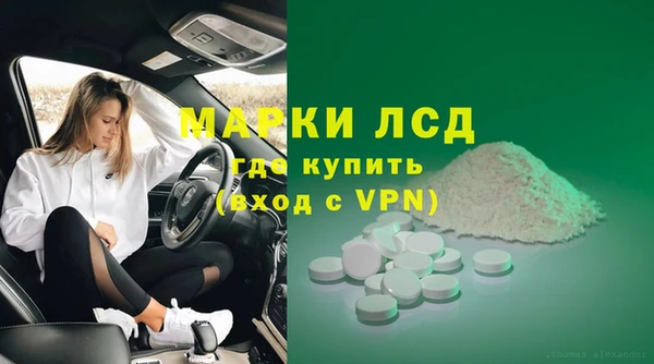 стаф Аркадак