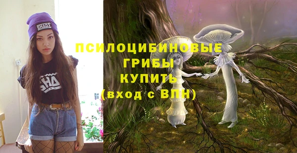 прущие крисы Армянск