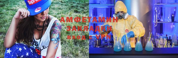 дмт Алексин