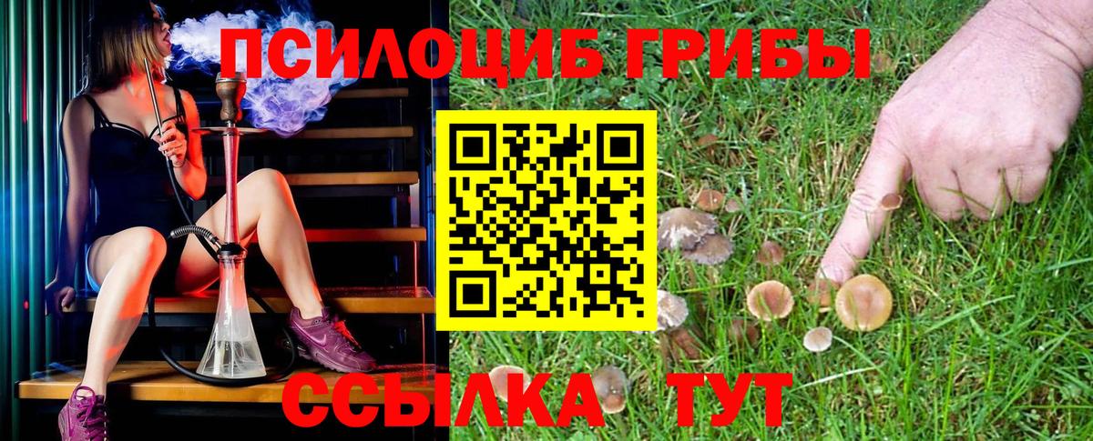 Псилоцибиновые грибы Cubensis  Вход с VPN  Галлюциногенные грибы GOLDEN TEACHER  Тайшет 